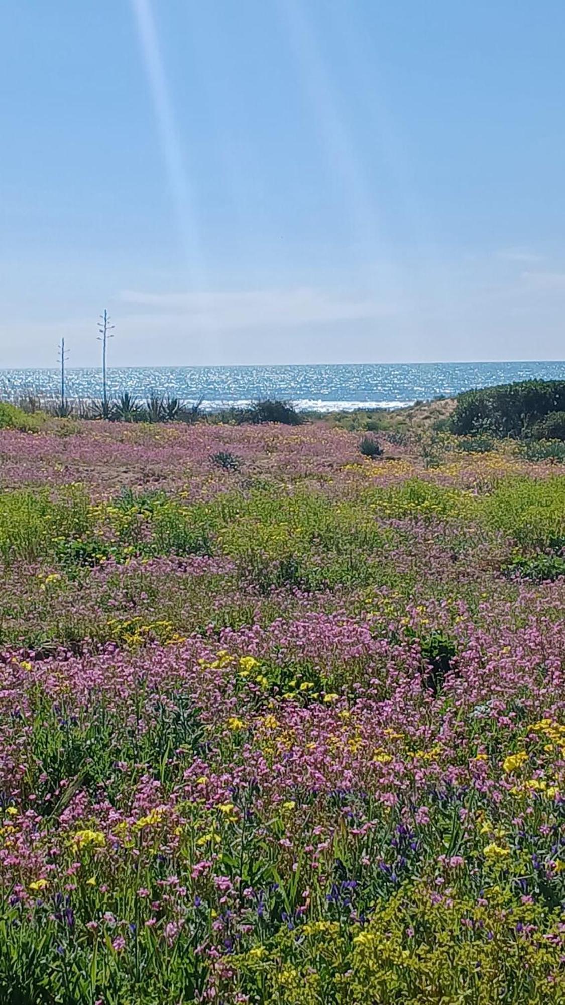 Willa Fin Fiori Menfi Zewnętrze zdjęcie